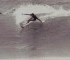 The Best Of The Surfer’s Hall of Fame