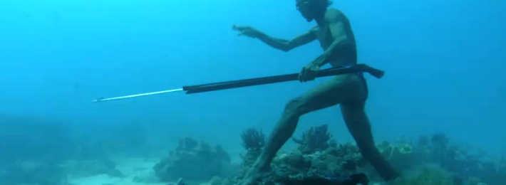 Freedive Spearfishing 60 Feet Deep