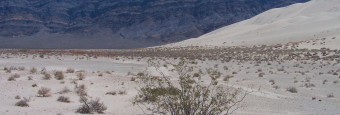 Top Death Valley Adventures