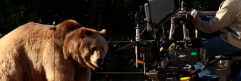 More Behind-the-Scenes with Bear