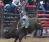 Bull Riding Takes Over Montreal