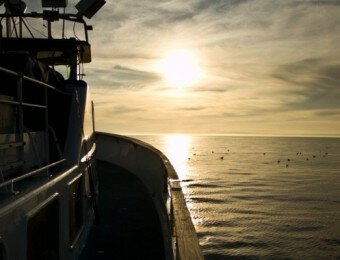 Deep Sea Fishing Starter Guide