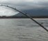 Extreme Fishing in Fraser Valley