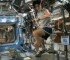 Sunita Williams Completes Triathlon In Space