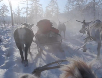 Mikael Strandberg Vs The Siberian Winter Wilderness