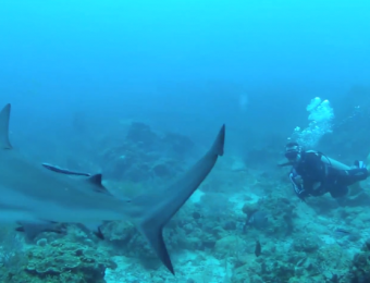 5 Incredible GoPro Scuba Diving Videos