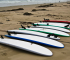 Types of Surfboards: The Ultimate Guide