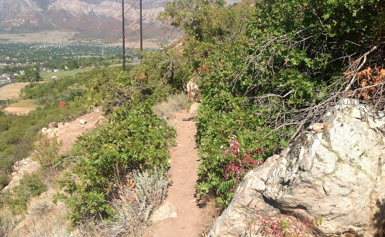 Take On Ultra Long Distance Hiking Trails 5 Crucial Tips 1